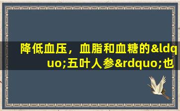 降低血压，血脂和血糖的“五叶人参”也可以治愈tinea  pedis